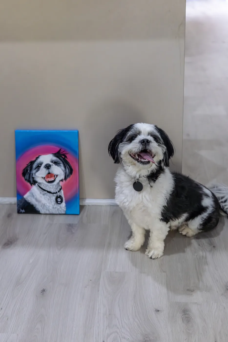 Aki the shih tzu sitting beside his finished acrylic portrait